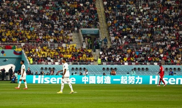 足球数据库-林良锋：执笔25年，这届世界杯中国味最浓