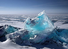 足球比赛-利雅得胜利晒队内庆祝马内非洲杯夺冠，C罗为他切蛋糕